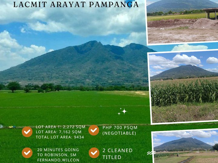 9,434 sqm Agricultural Farm For Sale in Arayat Pampanga