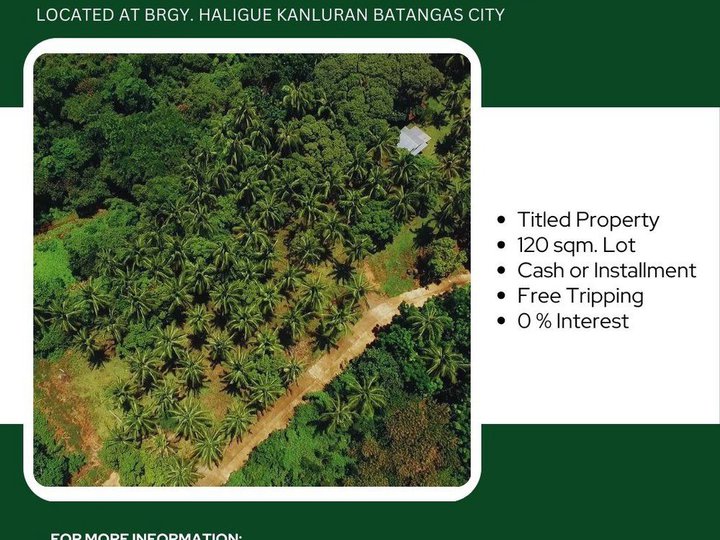 120 sqm Residential Farm For Sale in Batangas City Batangas