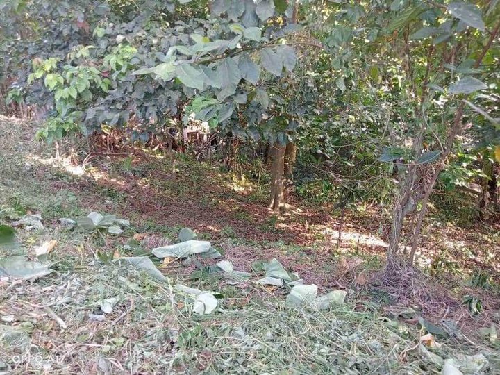 2,691 sqm Lot FOR SALE in Valley Golf Antipolo [Lot 🚜] (December 2023