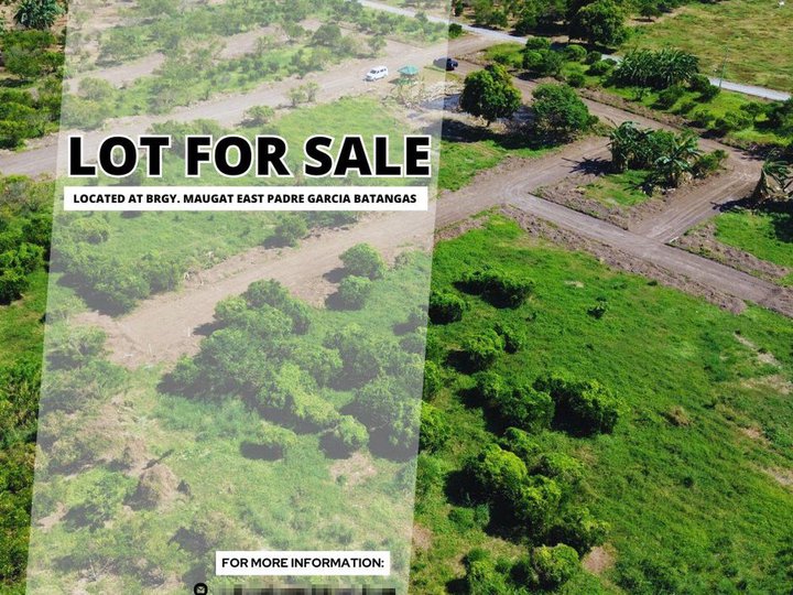 100 sqm Residential Farm For Sale in Padre Garcia Batangas