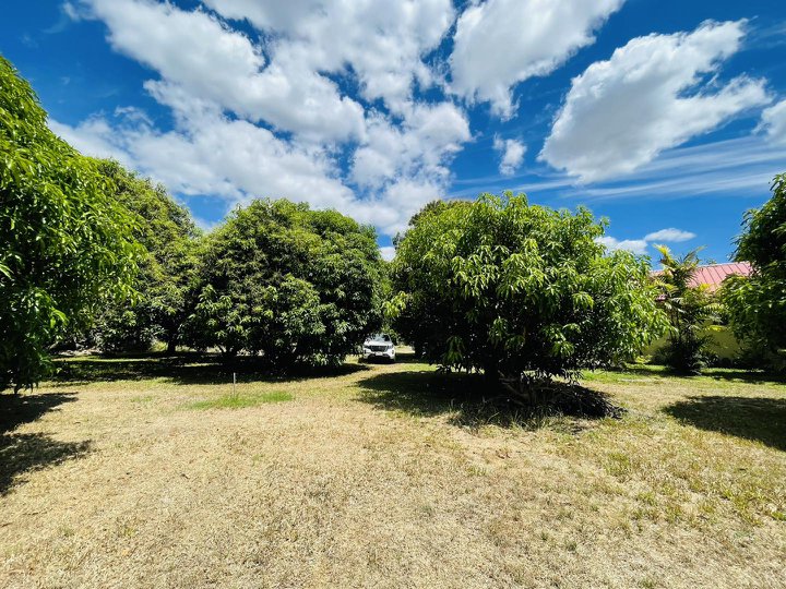 FOR SALE MANGO FARM WITH RESTHOUSE AND RICEFIELD IN PAMPANGA IDEAL FOR YOUR RETIREMENT