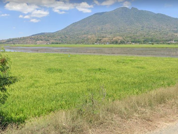 Arayat Pampanga Farm Lot (Rice Fields)