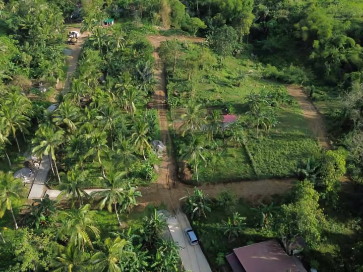 300 sqm Residential Farm For Sale in Alfonso Cavite