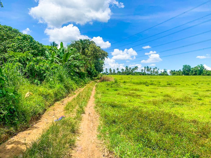 31K SQM hectares Lot for Sale Tanauan Batangas Agricultural Star Toll