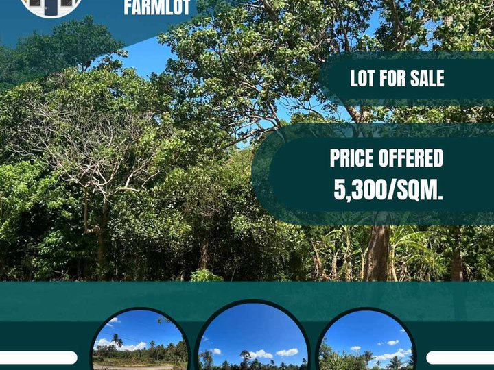 All in Farm Lot for sale in Alfonso 5 years to pay no interest