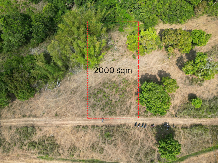 2,000 sqm Residential Lot For Sale in Dauin Negros Oriental