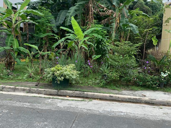 201sqm residential lot FOR SALE in Pasig City, MMla
