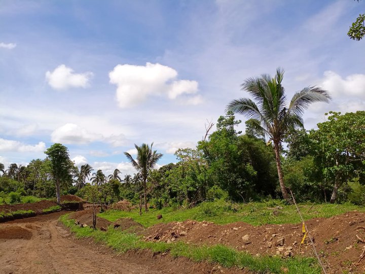 Farm lot for Investment in Cavite near Tagaytay