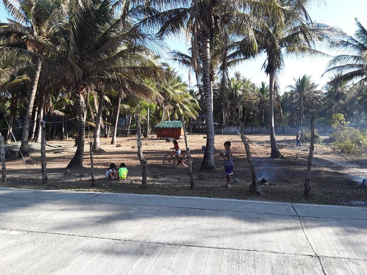 Bolinao Lot 2750 square meters 30 meters near the sea!