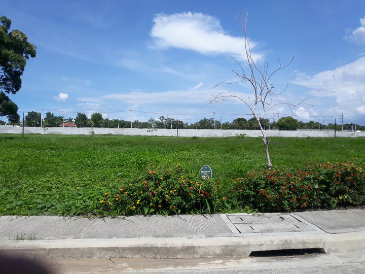 Alabang West Village Vacant Lot For Sale Near BGC and Makati City