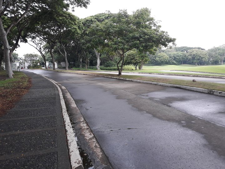 508 Sqm Residential Lot property For Sale in Southwoods Manila Estates