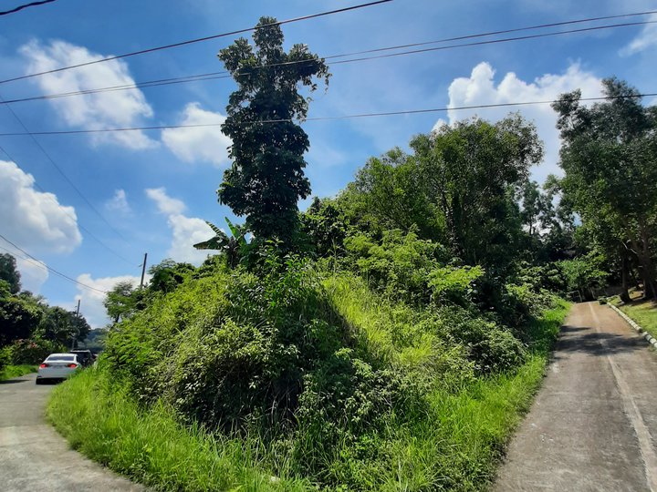 LOT FOR SALE IN TIMBERLAND HEIGHTS SAN MATEO RIZAL