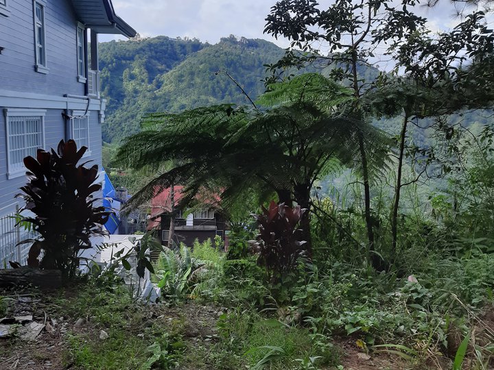 Vacant lot for sale Baguio City [Lot 🚜] (October 2021) in Baguio