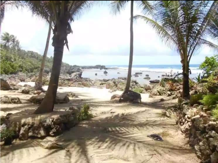 4034 sqm Beach Property For Sale/RENT in Burgos Surigao del Norte