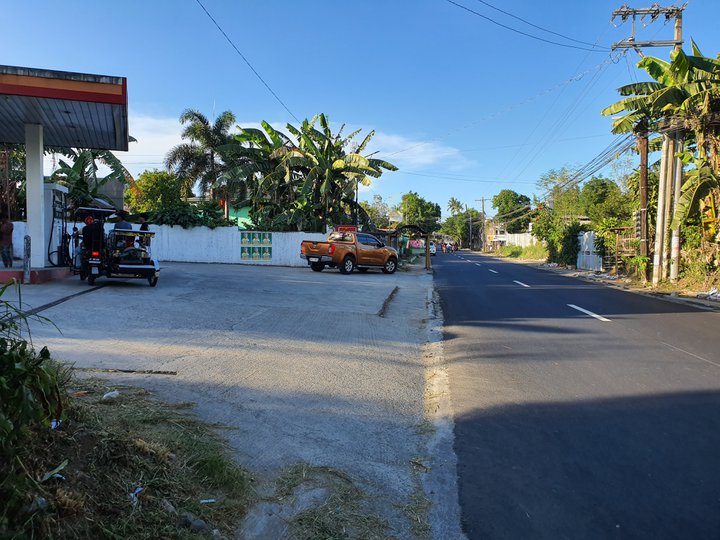 Commercial Lot For Sale in San Jose Batangas