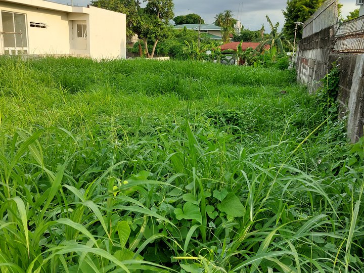 672 sqm Residential Lot For Sale in Sun Valley, Paranaque Metro Manila