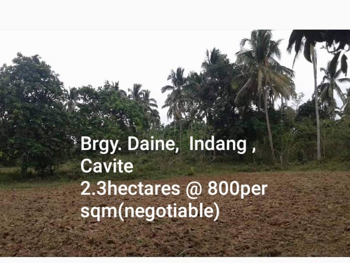 2.3has farm lot at brgy Daine indang cavite,800per sqm