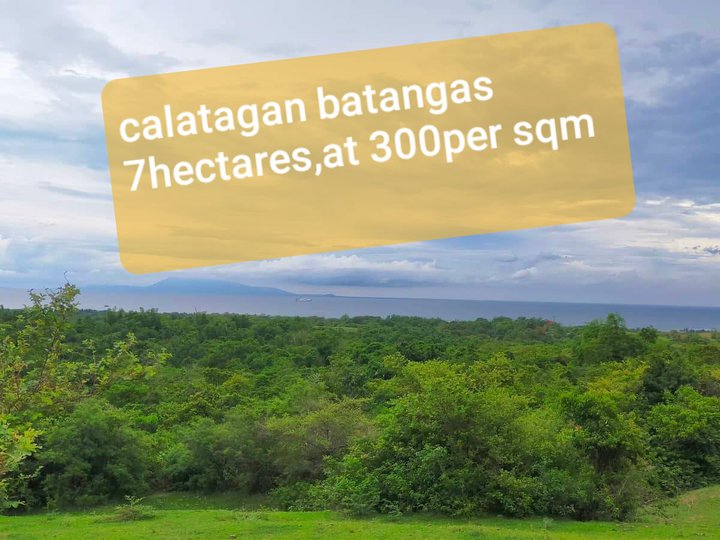 300per sqm.farm lot over view at calatagan batangas,7hectares