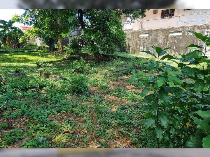 449 sqm Residential Lot For Sale in Commonwealth Quezon City / QC