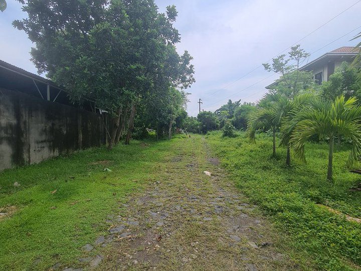 Lot ONLY,Along the HIGHWAY ANTIPOLO DEL SUR, LIPA CITY BATANGAS