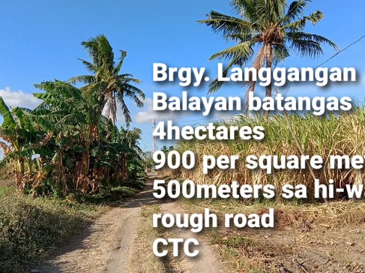 4 has at balayan batangas 500meters from highway 900per sqm