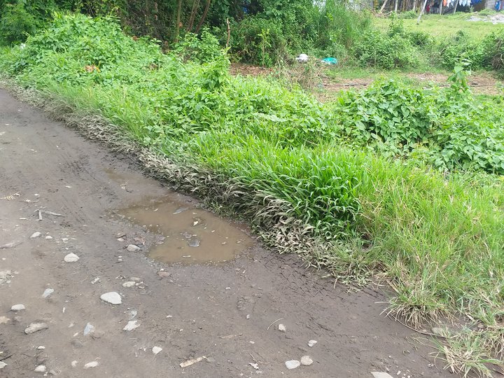 1150 sqm Raw Land For Sale [Lot 🚜] (November 2022) in Valencia