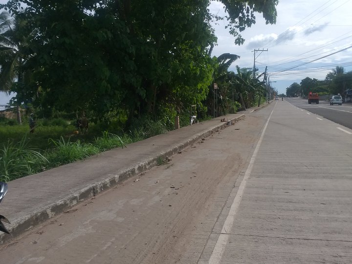 3500 sqm Commercial Lot For Sale in Bacong Negros Oriental