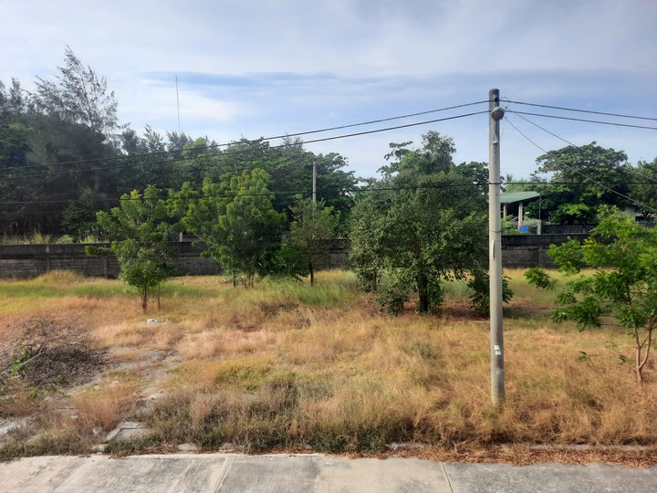 196 sqm Residential Lot For Sale in Dagupan Pangasinan only 20K RF