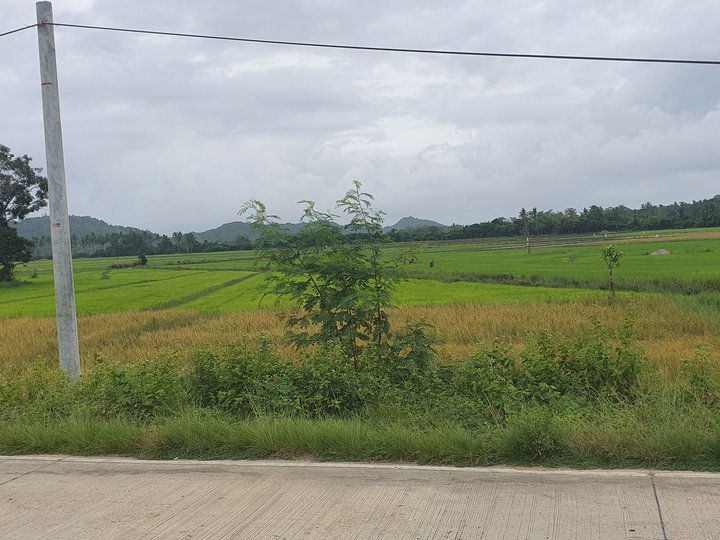 30,000 sqm agricultural farm for sale in el nido (bacuit)palawan