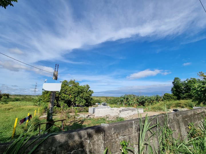 1.1 hectare Lot for Sale in Dasmarinas Cavite