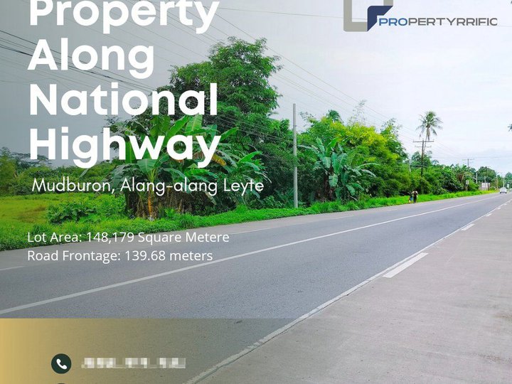 14.82 hectares Raw Land For Sale in Alangalang Leyte