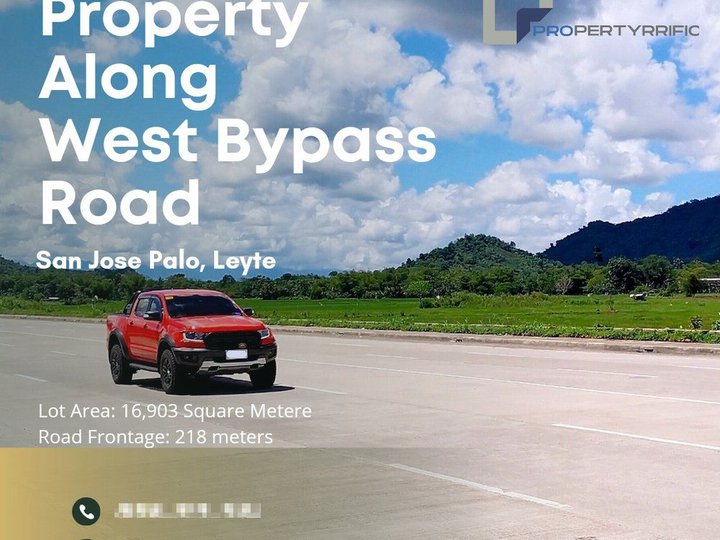 Lot for Sale along Palo Bypass Road