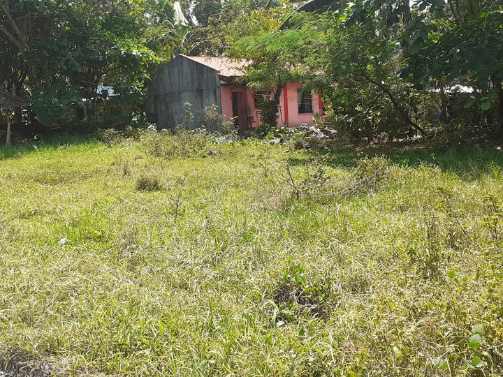 2,301 sqm Commercial Lot For Sale in Victoria Oriental Mindoro