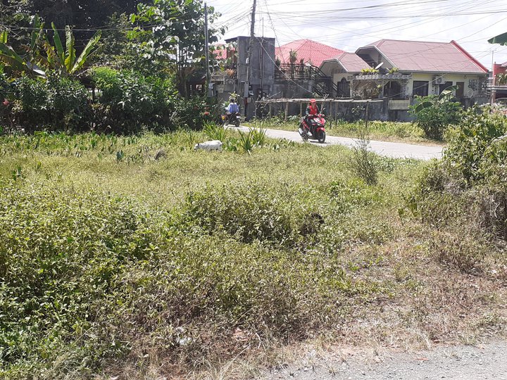 258 sqm Commercial Lot For Sale in Victoria Oriental Mindoro