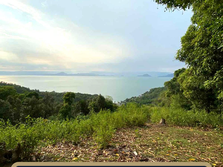 For Sale: 3.1 Hectares Lot with Breathtaking View of Taal Lake