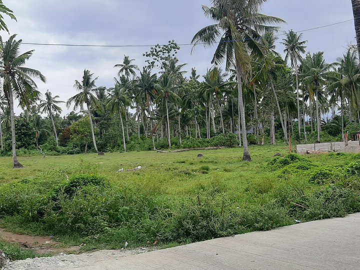 Lot only [Lot 🚜] (July 2024) in Hilongos, Leyte for sale