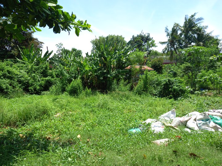 LOT FOR SALE INSIDE SUBDIVISION