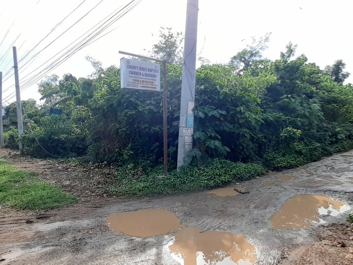 Lot near Panglao airport