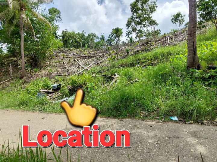 250 sqm Residential Lot For Sale in Cortes Bohol