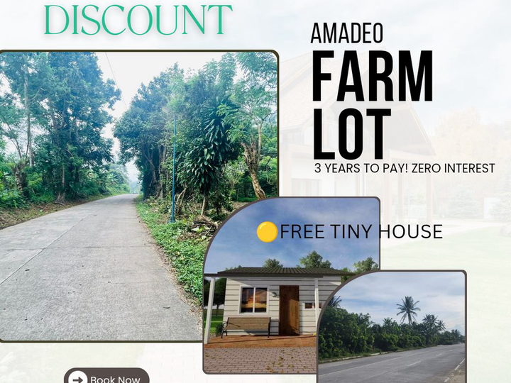 FREE TINY HOUSE..FREE TRANSFER OF TITLE Residential Farm Lot in Amadeo