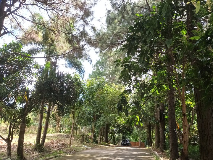 Exclusive community,private20 lots only, peaceful/with pine trees insi