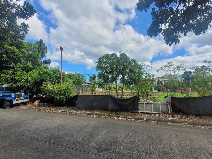 300 sqm Residential Lot For Sale in Novaliches Quezon City / QC