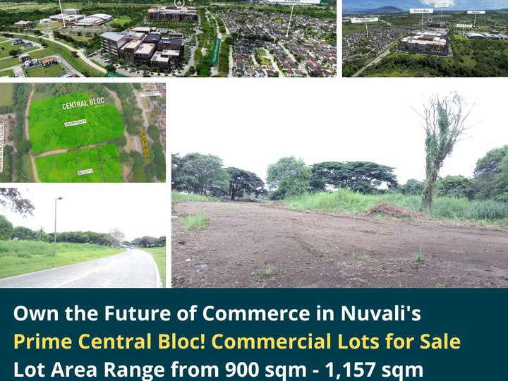 Prime Central Blocks Commercial Lot For Sale in Santa Rosa Laguna