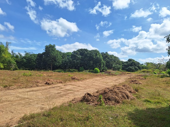 RESIDENTIAL FARM LOTS IN INDANG CAVITE, NO INCOME REQUIREMENTS