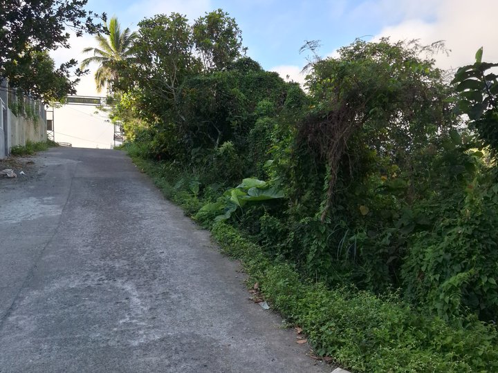 3,377 sqm Agricultural Farm for Sale in Tagaytay City
