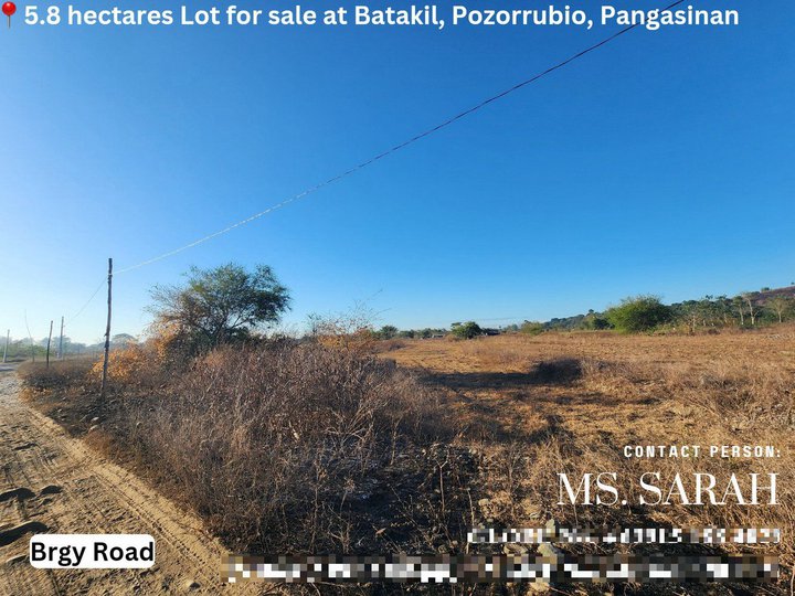 5.8 Hectares Farm Lot for sale (Clean Title)