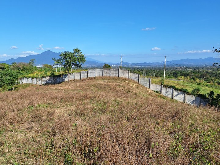 2 hectares Residential Farm For Sale in Tanauan Batangas