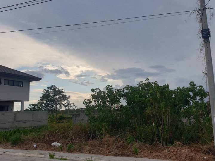 Cheapest lot for. Sale in iloilo city