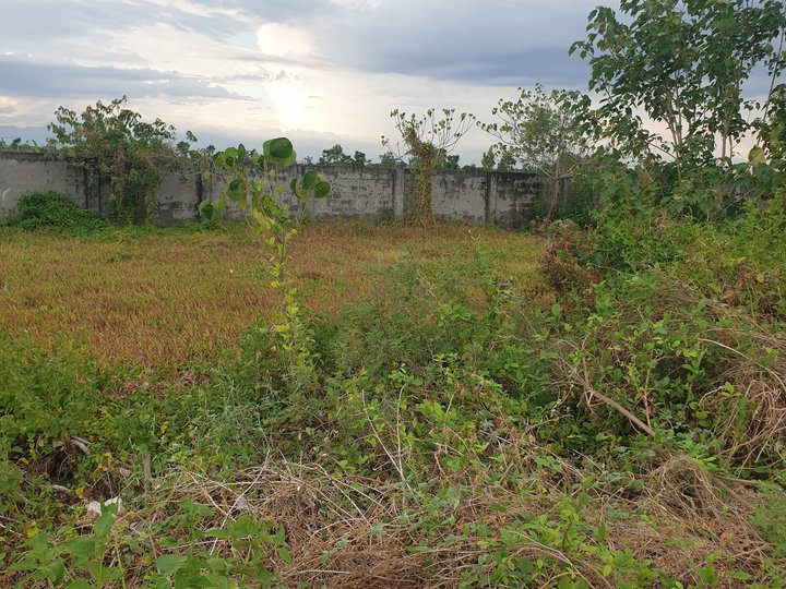 Lot for sale in Westwood grand dungon jaro iloilo city
