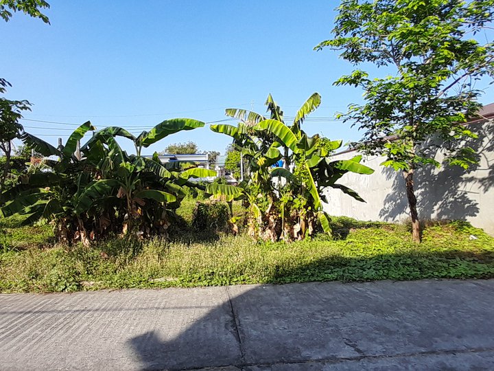 500 sqm Residential Lot For Sale By Owner in Baliuag Bulacan